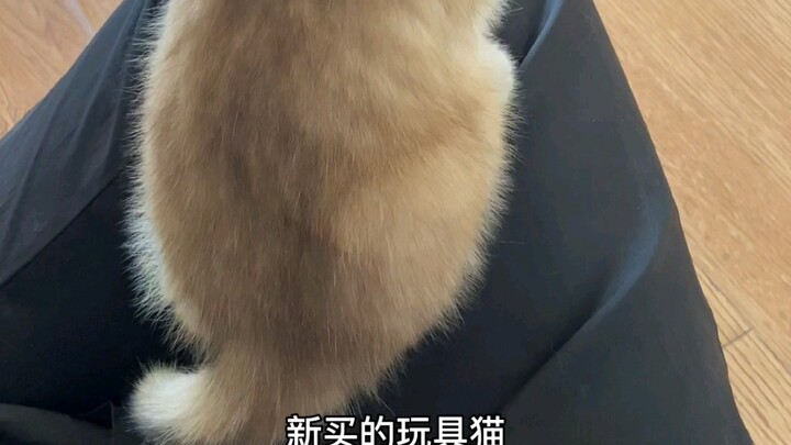 Sentuh untuk Mengeluarkan Suara