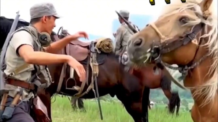 Wu Lei shows off his horse-like imitation everywhere! Lei Lei, who persists in being a funny man, is