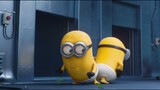 [Minion]