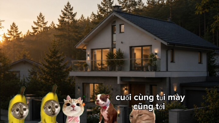 TẬP 1-4 sân sau nhà tôi có gì đó không ổn