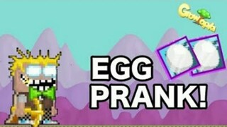 GROWTOPIA EGG PRANK