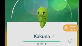 Pokémon GO-Evolving Shiny Kakuna