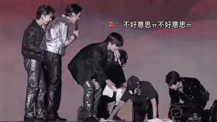 เซเวนทีน | ชเว ซึงชอล | หมูกำลังทำความสะอาด หมูกำลังฟ้อง หมูกำลังห้ามทะเลาะ หมูกำลังขอโทษ