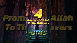 4 Promise Of Allah To The Believers ! 🌟 | Part-2 #islam #islamicstatus #allah