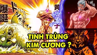 [ OPM 195 ] Tinh Trùng Vàng Và Bản Nâng Cấp Kim Cương 10.000 Tỉ Tế Bào