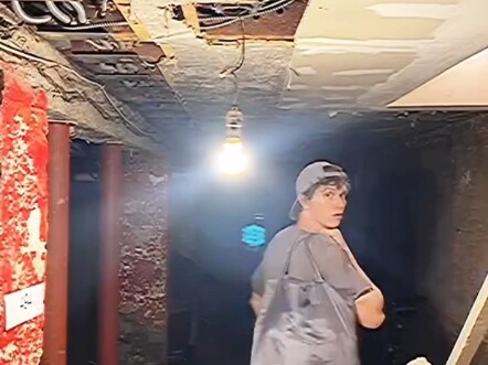 Strange noises always drift out of the basement crevices.