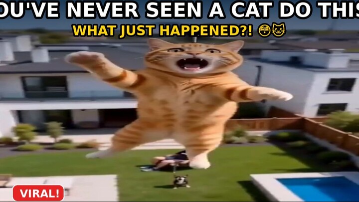You’ve NEVER seen a cat do this before!
