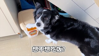 目前来说，家里大大小小的事情已经瞒不住它了。