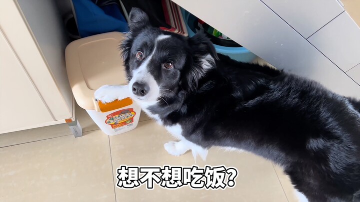 For now, it can no longer keep secrets from the big and small matters at home.