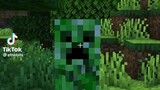 Minecraft When  you DON'T fill the Creeper Holes...