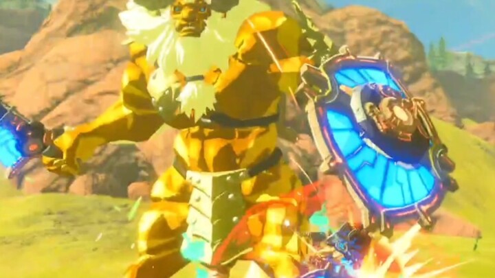[The Legend of Zelda] This battle is too luxurious.