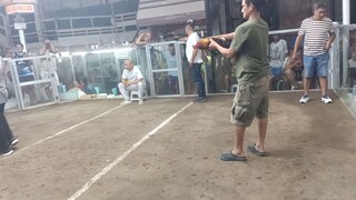 VMT MCLEAN 4WINS ULUTANDumaguete cockpit Arena 2win