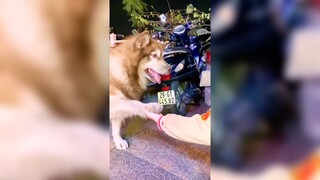 Cơm tró Hồ Tây!!??