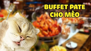 BUFFET PATE MIỄN PHÍ CHO MÈO