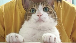 Sazuzu is watching mice very seriously
