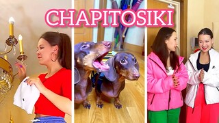 ЧАПИТОСИКИ - ГОВОРЯЩИЕ СОБАКИ🐶❤