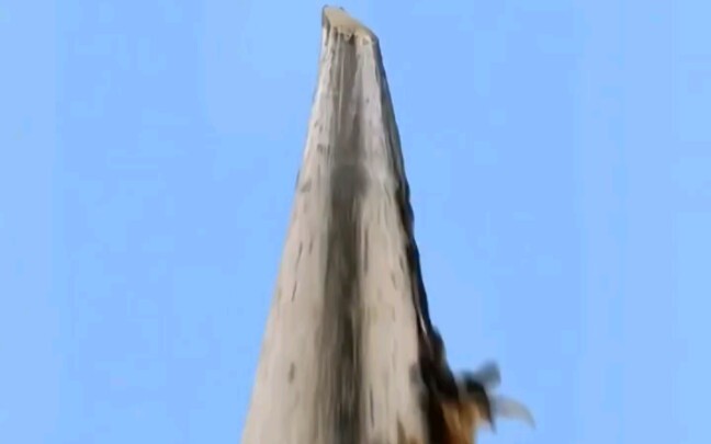 Rahasia yang Tersembunyi di Ujung Pena dan Koin