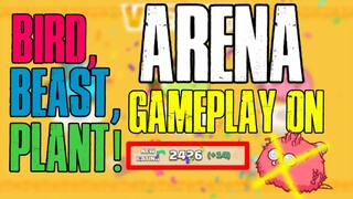 +21 SLP/WIN BBP ARENA GAMEPLAY ON 2,4K+ MMR AXIE INFINITY