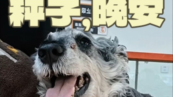 Faced with life and death, I once again feel utterly powerless.