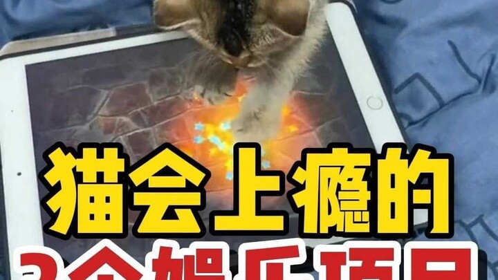 Here it is! The three entertainment activities that cats can't get enough of.