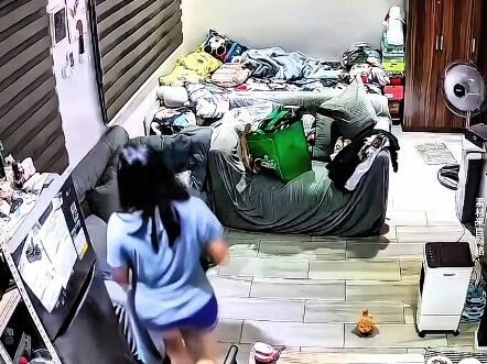 القطة مستقرة المزاج للغاية