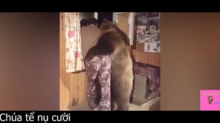 Có tui đây rồi, đừng buồn bạn ạ #funny