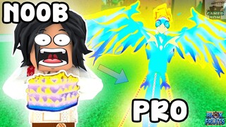 Bloxfruits Reworked Phoenix V1 Noob to Pro