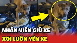 Bắt quả tang nhân viên giữ xe "XƠI" luôn YÊN XE của khách 😳 | Yêu Lu