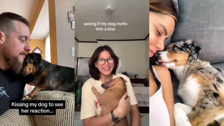 จู่ๆ ก็หอมน้องหมา ปฏิกิริยาของพวกมันน่ารักสุดๆ!