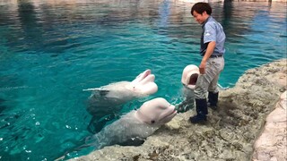 飼育員さん大好き！ 2019/05/12@名古屋港水族館