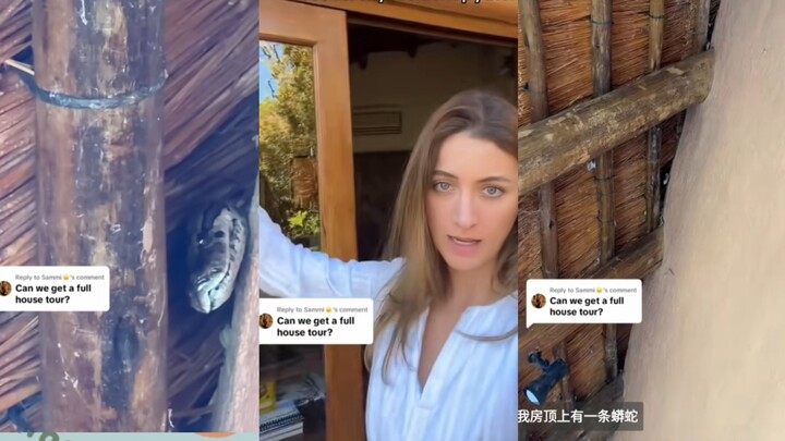 วิดีโอใน TikTok มียอดชมนับสิบล้าน บล็อกเกอร์สาวผิวขาวตั้งใจจะอวดบ้านหลังใหญ่ของตัวเอง แต่กลับ意外พบว่า