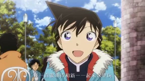 conan/kudo Shinichi/ran mori
