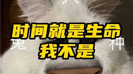 Ngay khoảnh khắc vứt nó ra, bệnh đã khỏi được một nửa. “Không ngờ nổi” hài hước