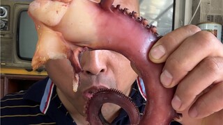 Can I eat both tubes of horseradish already?!