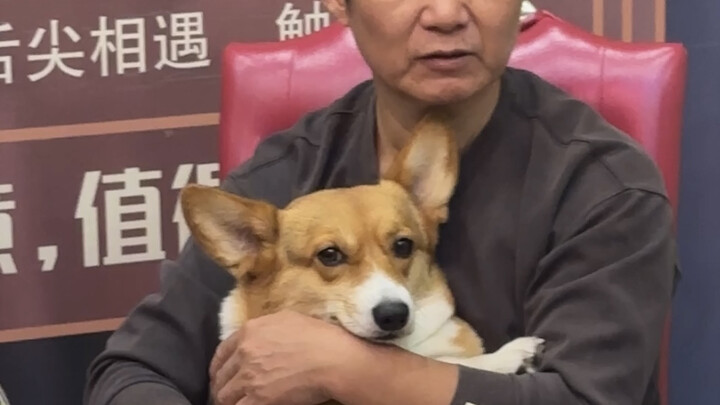 Never let the elderly take care of the puppy…