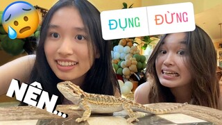 SINH ĐÔI BỊ INSTAGRAM ĐIỀU KHIỂN