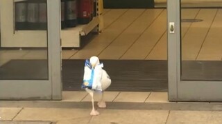 太...太流畅了吧