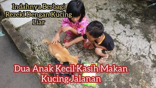 Dua Anak Kecil Yang Peduli Sama Kucing Jalanan Subhanallah...! Feeding Cats