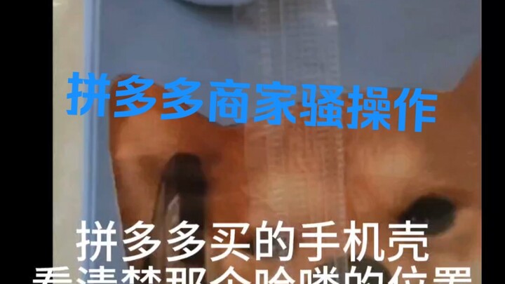⚡️拼多多商家客服骚操作