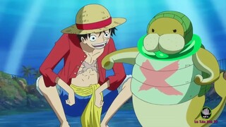 THẦY TRÒ LUFFY TÁI NGỘ ở Tân Thế Giới - Đại đệ tử của Lù