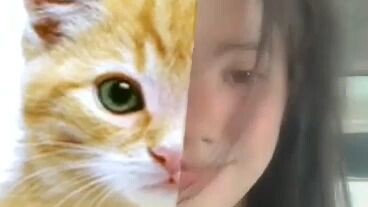 👩‍❤️‍💋‍👩 meow