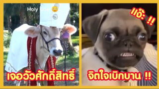 รวมคลิปตลก: จิตใจเบิกบานกันทุ๊กคน