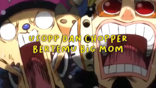 Usopp Dan Chopper Bertemu Big Mom