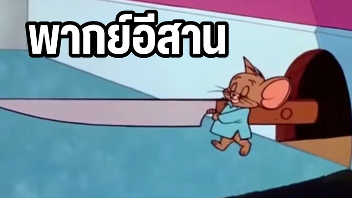 ทอมแอนด์เจอร์รี่ พากย์อีสาน นอนละเมอสังหาร