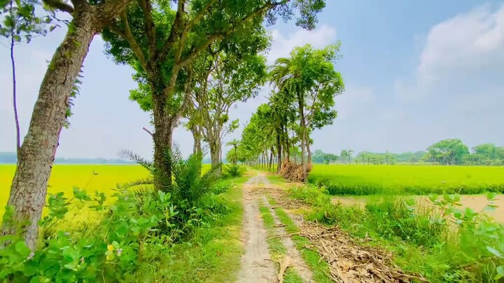 রাতের কাছে চাঁদ প্রিয় আমার কাছে তুমি..!