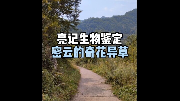 【亮记生物鉴定】密云的奇花异草