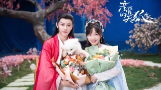 🍒Dear Mr Heavenly Fox 2023 | EP 8 ENG SUB