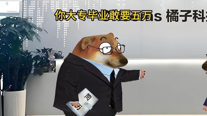 在上海财经学院提篮桥分校深造11年是什么水平？
