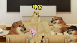 老师你说的太有道理了