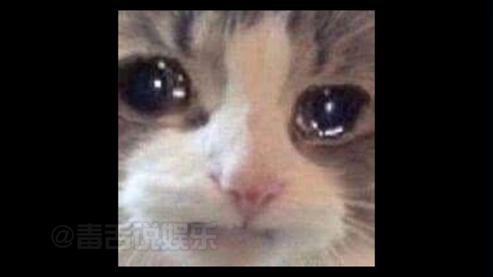 Boyfriend: My whole life feels like walking on thin ice.